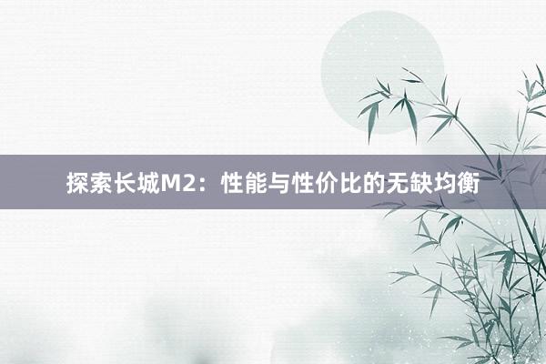 探索长城M2：性能与性价比的无缺均衡