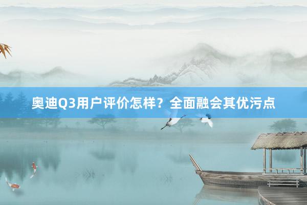 奥迪Q3用户评价怎样？全面融会其优污点